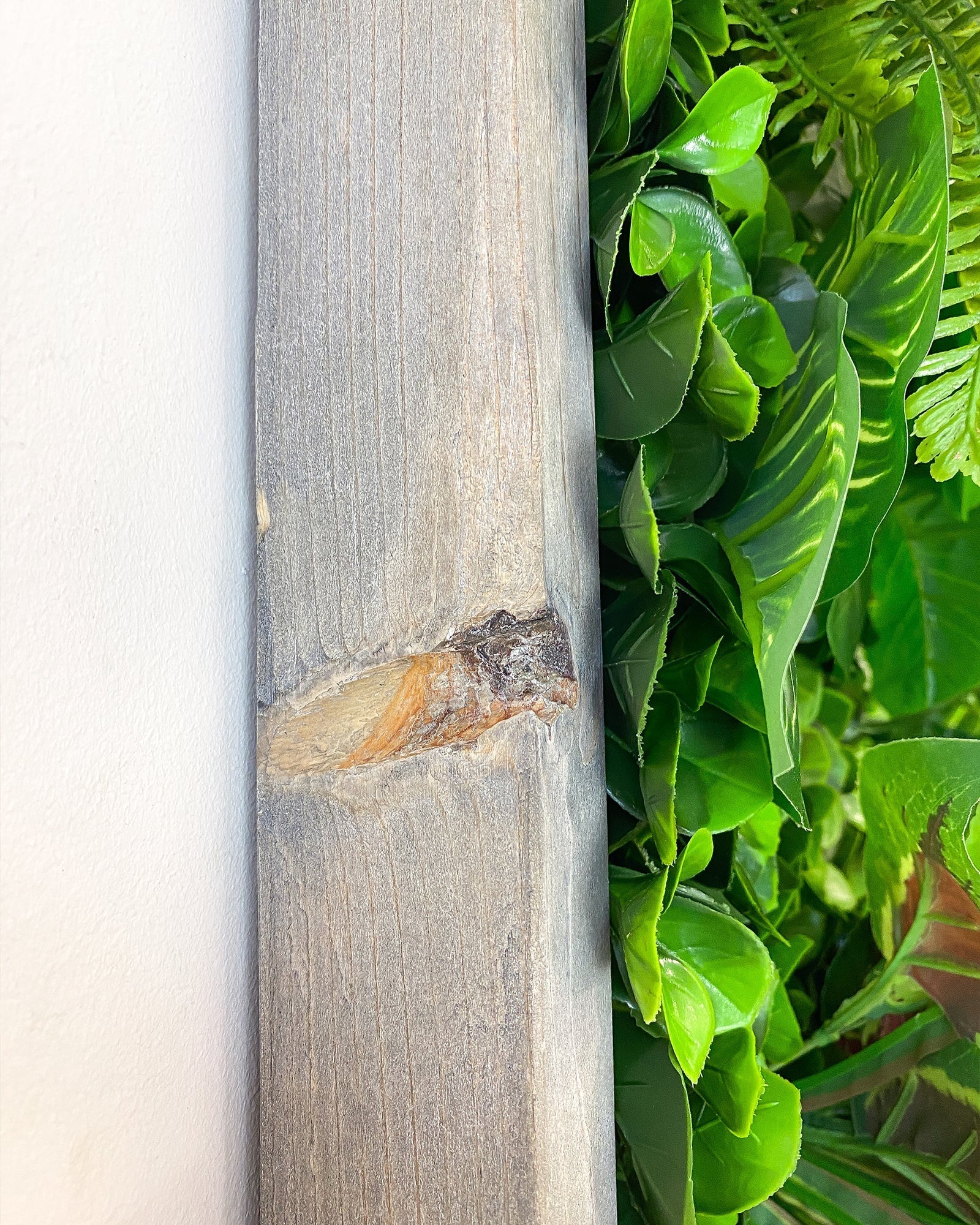 Pflanzenwand Yucatan – Realtouch im Fichtenholzrahmen