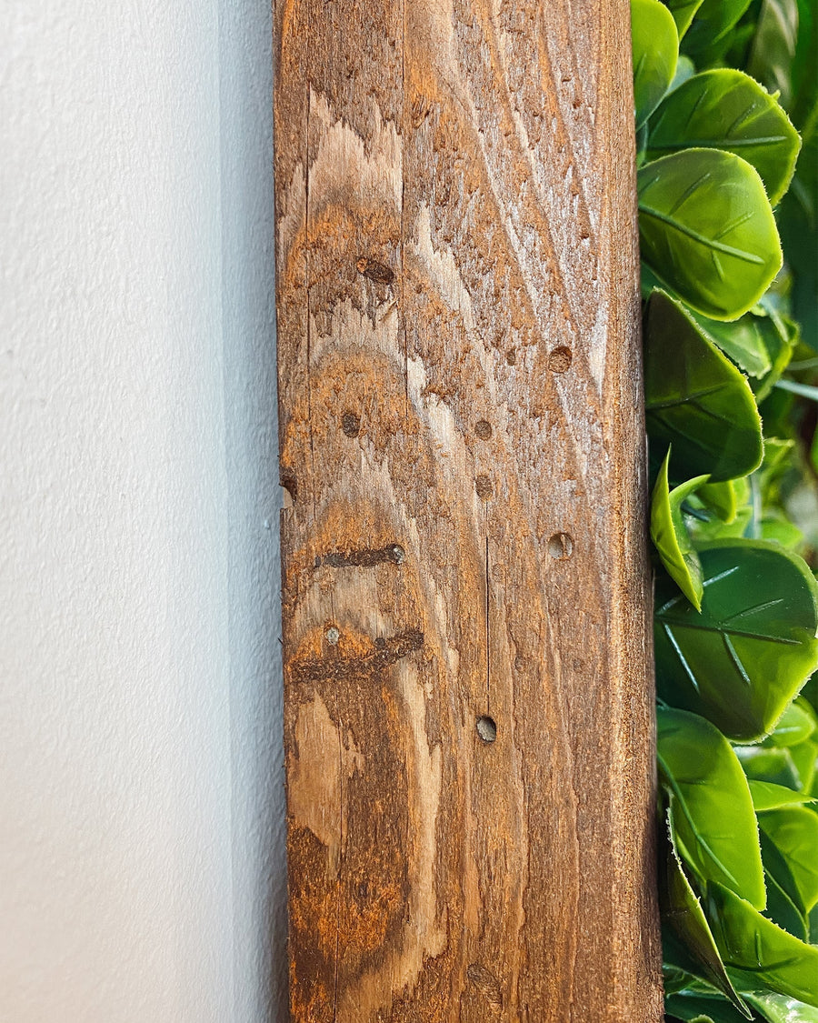 Pflanzenwand Cali – Realtouch im Fichtenholzrahmen
